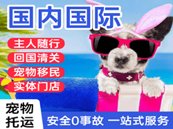 尧都航空邮寄国际宠物托运 【国
